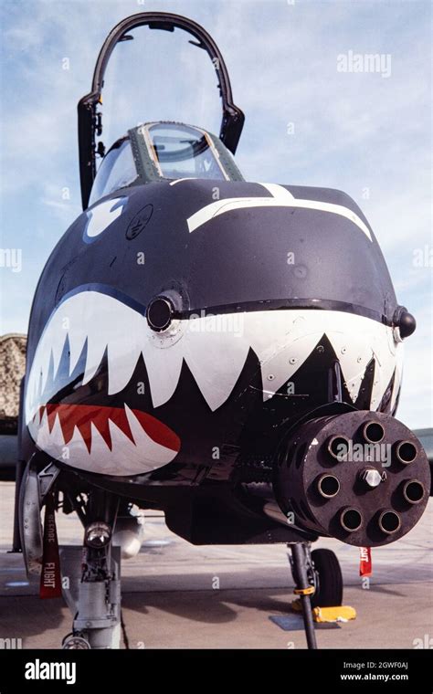 A-10 Nose Art Restoration Project